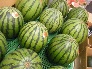 2010/07/17 -���T�̔����ł�-_15