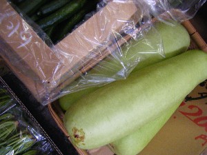 2010/07/17 -���T�̔����ł�-_18