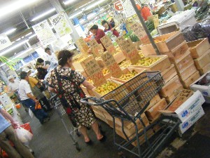 2010/07/17 -���T�̔����ł�-_22