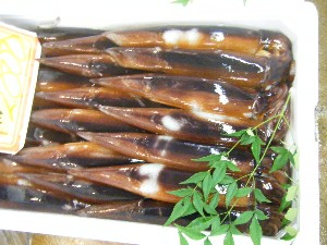 2010/07/17 -���T�̔����ł�-_26
