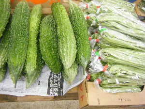 20100724-���T�̔����ł�-_5