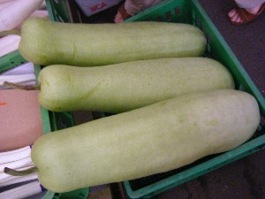 20100724-���T�̔����ł�-_12