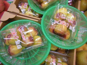 20100724-���T�̔����ł�-_15