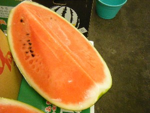 20100731-���T�̔����ł�-_15