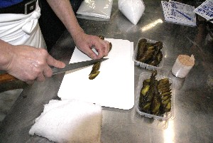 20100815-�ÒЂ�������-_2