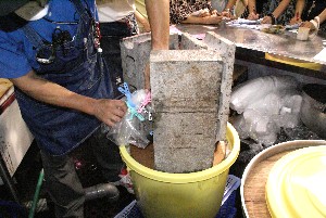 20100815-�ÒЂ�������-_18