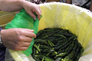 20100815-ÒЂ- ڍׂ̕_16
