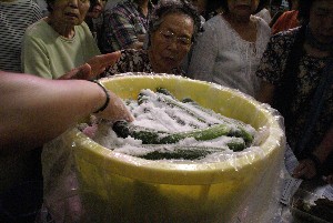 20100815-ÒЂ- ڍׂ̕_22