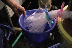 20100815-ÒЂ- ڍׂ̕_28