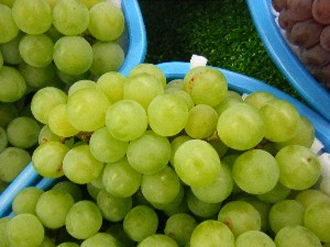 20100821-���T�̔����ł�-_33