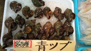 2010/08/28 -���T�̔����ł�-_15