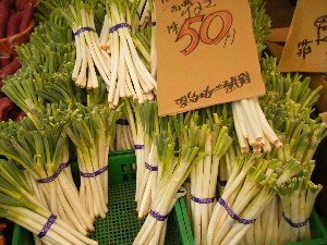 2010/09/04 -���T�̔����ł�-_5