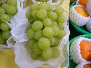 2010/09/04 -���T�̔����ł�-_15