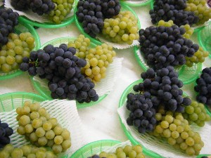 2010/09/18 -���T�̔����ł�-_16