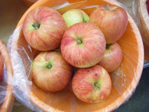 2010/09/18 -���T�̔����ł�-_20