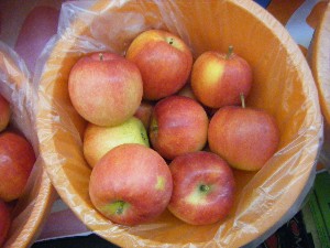 2010/09/18 -���T�̔����ł�-_21