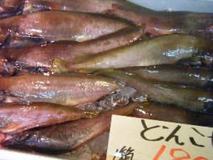 2010/09/18 -���T�̔����ł�-_47