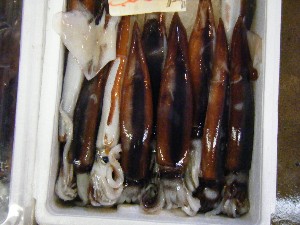 2010/09/18 -���T�̔����ł�-_49