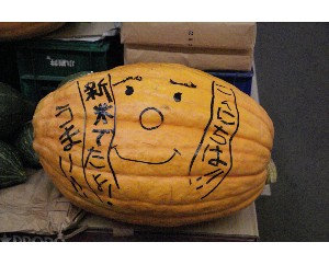 20101003 - ����������̔��������H�ו������� -_5