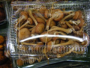 20101002 - ���T�̔���� -_34