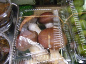 20101002 - ���T�̔���� -_38