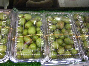 20101002 - ���T�̔���� -_39