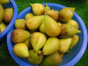 20101002 - ���T�̔���� -_5