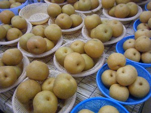 20101002 - ���T�̔���� -_8