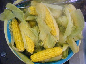 20101002 - ���T�̔���� -_13