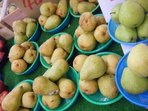 20101002 - ���T�̔���� -_18
