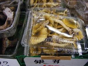 20101009 - ���T�̔����ł� -_19