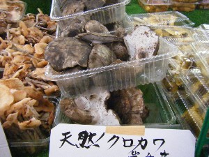 20101009 - ���T�̔����ł� -_20