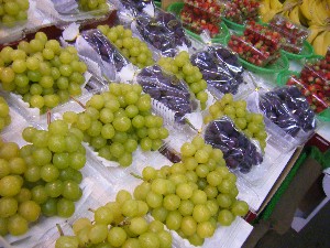 20101009 - ���T�̔����ł� -_23
