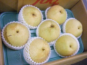 20101009 - ���T�̔����ł� -_27