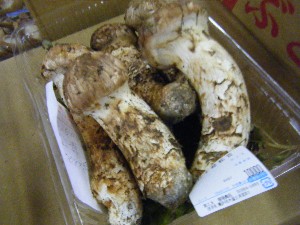 20101009 - ���T�̔����ł� -_31