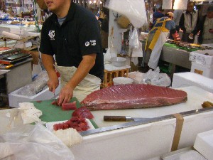 20101009 - ���T�̔����ł� -_51