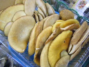 20101030 - ���T�̔����ł��@-_3