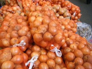 20101030 - ���T�̔����ł��@-_8