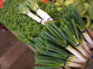 20101030 - ���T�̔����ł��@-_9