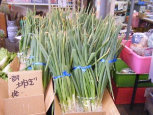 20101030 - ���T�̔����ł��@-_11