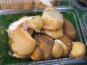 20101030 - ���T�̔����ł��@-_14