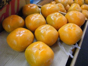 20101030 - ���T�̔����ł��@-_16