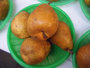 20101030 - ���T�̔����ł��@-_17