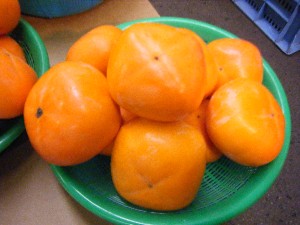 20101030 - ���T�̔����ł��@-_19