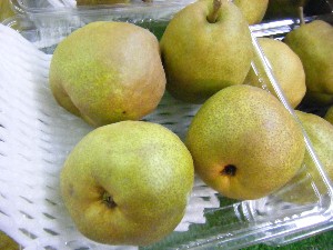 20101030 - ���T�̔����ł��@-_20