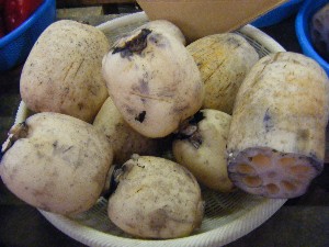 20101030 - ���T�̔����ł��@-_21