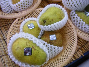 20101030 - ���T�̔����ł��@-_23