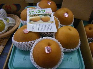 20101030 - ���T�̔����ł��@-_24
