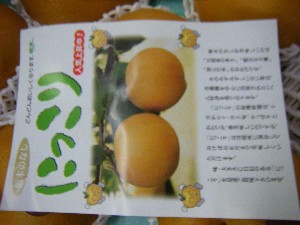 20101030 - ���T�̔����ł��@-_25