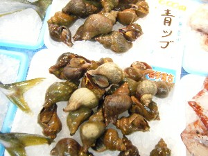 20101103-4 - ��򑺍s���@-_41